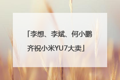 李想、李斌、何小鹏齐祝小米YU7大卖