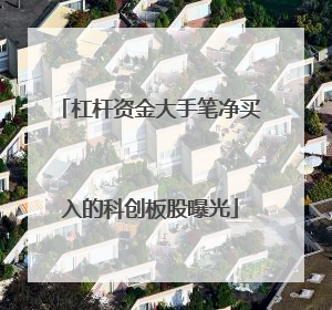杠杆资金大手笔净买入的科创板股曝光