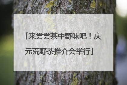 来尝尝茶中野味吧！庆元荒野茶推介会举行