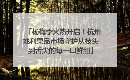 杨梅季火热开启！杭州地利果品市场守护从枝头到舌尖的每一口鲜甜