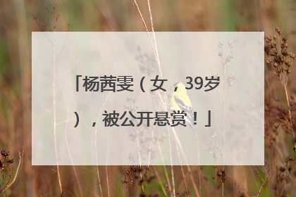 杨茜雯（女，39岁），被公开悬赏！