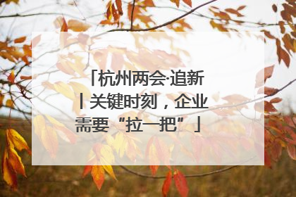 杭州两会·追新丨关键时刻，企业需要“拉一把”