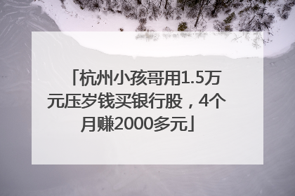杭州小孩哥用1.5万元压岁钱买银行股，4个月赚2000多元