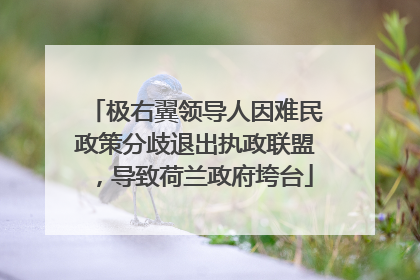 极右翼领导人因难民政策分歧退出执政联盟，导致荷兰政府垮台