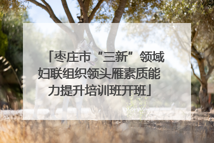 枣庄市“三新”领域妇联组织领头雁素质能力提升培训班开班