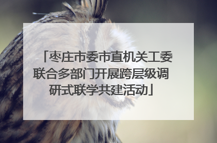 枣庄市委市直机关工委联合多部门开展跨层级调研式联学共建活动