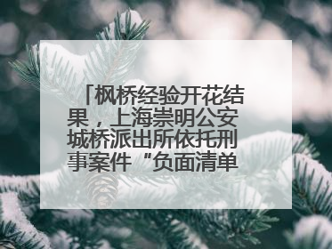 枫桥经验开花结果，上海崇明公安城桥派出所依托刑事案件“负面清单”强化派出所“主防”