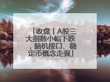 收盘丨A股三大指数小幅下跌，脑机接口、稳定币概念走强