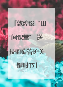敦煌设“田间课堂” 送技葡萄管护关键时节
