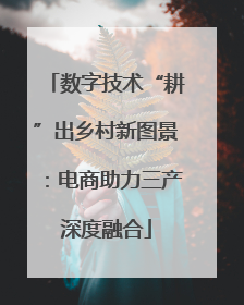 数字技术“耕”出乡村新图景：电商助力三产深度融合