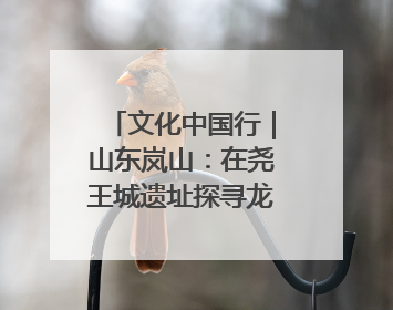 文化中国行｜山东岚山：在尧王城遗址探寻龙山文化