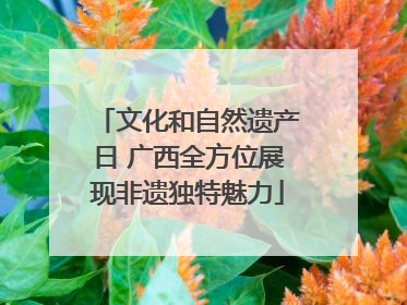 文化和自然遗产日 广西全方位展现非遗独特魅力