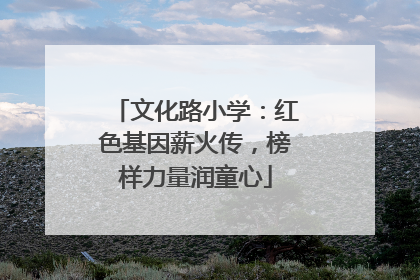 文化路小学：红色基因薪火传，榜样力量润童心