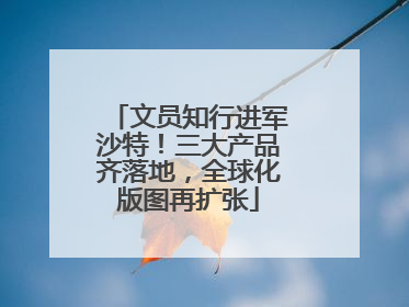 文员知行进军沙特！三大产品齐落地，全球化版图再扩张