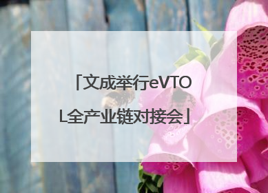 文成举行eVTOL全产业链对接会