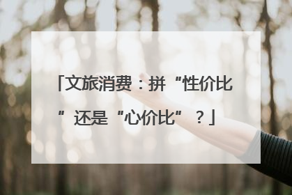 文旅消费：拼“性价比”还是“心价比”？