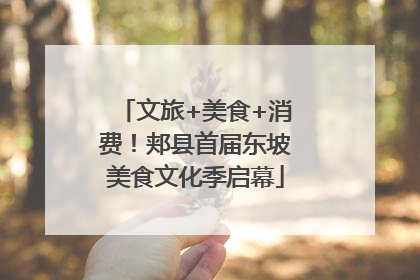 文旅+美食+消费！郏县首届东坡美食文化季启幕
