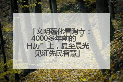 文明蕴化看陶寺：4000多年前的“日历”上，夏至晨光见证先民智慧