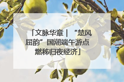 文脉华章｜“楚风屈韵”国潮端午游点燃秭归夜经济