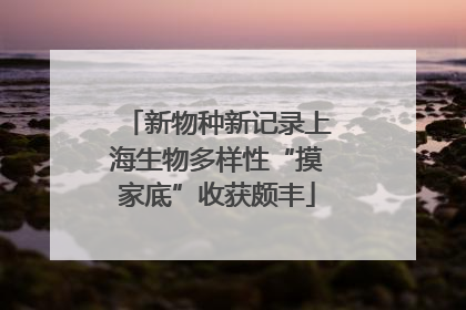 新物种新记录上海生物多样性“摸家底”收获颇丰
