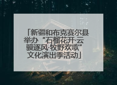 新疆和布克赛尔县举办“石榴花开·云骥逐风·牧野欢歌”文化演出季活动