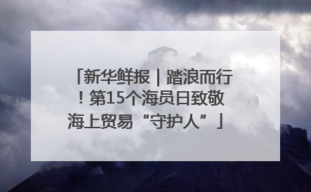 新华鲜报｜踏浪而行！第15个海员日致敬海上贸易“守护人”