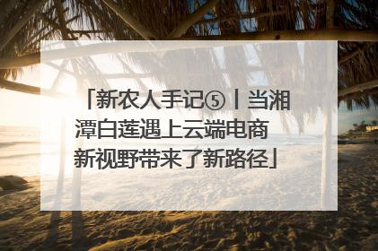 新农人手记⑤丨当湘潭白莲遇上云端电商 新视野带来了新路径