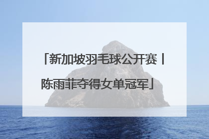 新加坡羽毛球公开赛丨陈雨菲夺得女单冠军