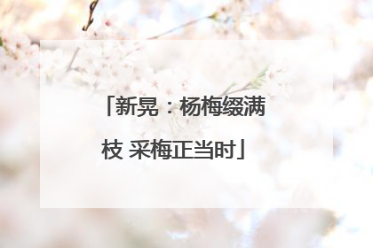 新晃：杨梅缀满枝 采梅正当时
