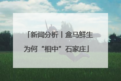 新闻分析丨盒马鲜生为何“相中”石家庄