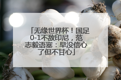 无缘世界杯！国足0-1不敌印尼，范志毅语塞：早没信心了但不甘心
