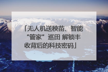 无人机送秧苗、智能“管家”巡田 解锁丰收背后的科技密码