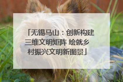 无锡马山：创新构建三维文明矩阵 绘就乡村振兴文明新图景
