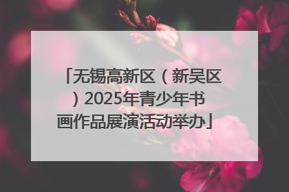 无锡高新区（新吴区）2025年青少年书画作品展演活动举办