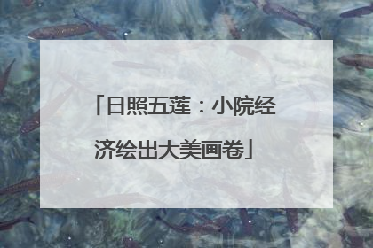 日照五莲：小院经济绘出大美画卷