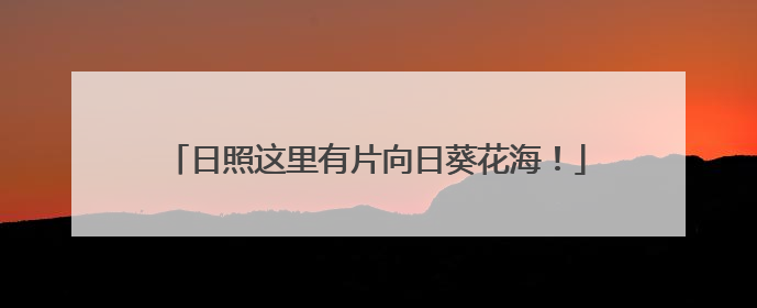 日照这里有片向日葵花海！