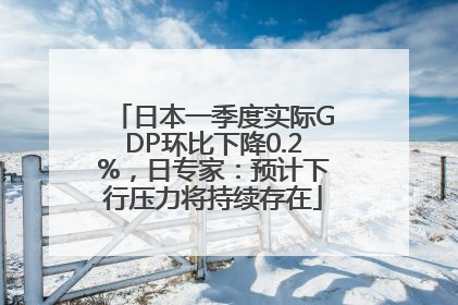 日本一季度实际GDP环比下降0.2%，日专家：预计下行压力将持续存在