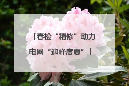 春检“精修”助力电网“迎峰度夏”