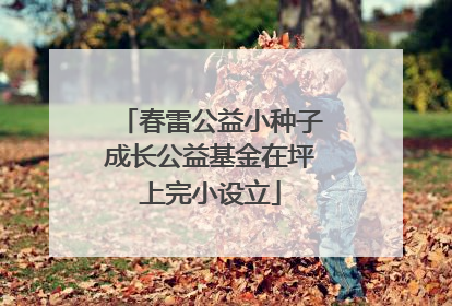 春雷公益小种子成长公益基金在坪上完小设立