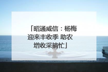 昭通威信：杨梅迎来丰收季 助农增收采摘忙