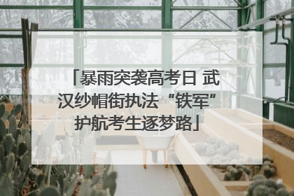 暴雨突袭高考日 武汉纱帽街执法“铁军”护航考生逐梦路