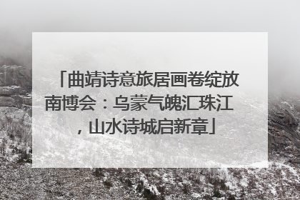 曲靖诗意旅居画卷绽放南博会：乌蒙气魄汇珠江，山水诗城启新章