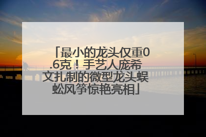 最小的龙头仅重0.6克！手艺人庞希文扎制的微型龙头蜈蚣风筝惊艳亮相