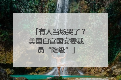 有人当场哭了？美国白宫国安委裁员“降级”