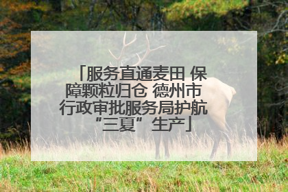 服务直通麦田 保障颗粒归仓 德州市行政审批服务局护航“三夏”生产