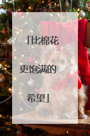 比棉花更饱满的希望
