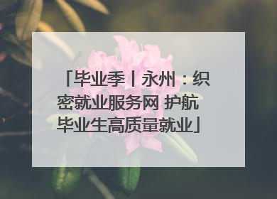 毕业季丨永州：织密就业服务网 护航毕业生高质量就业