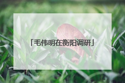 毛伟明在衡阳调研
