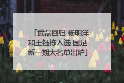 武磊回归 杨明洋和王钰栋入选 国足新一期大名单出炉