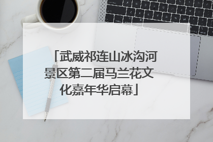 武威祁连山冰沟河景区第二届马兰花文化嘉年华启幕
